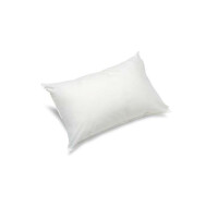 Hotel ornamental pillow natural downfilled soft white 