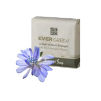 EverGreen Cosmetics range Soap 20g